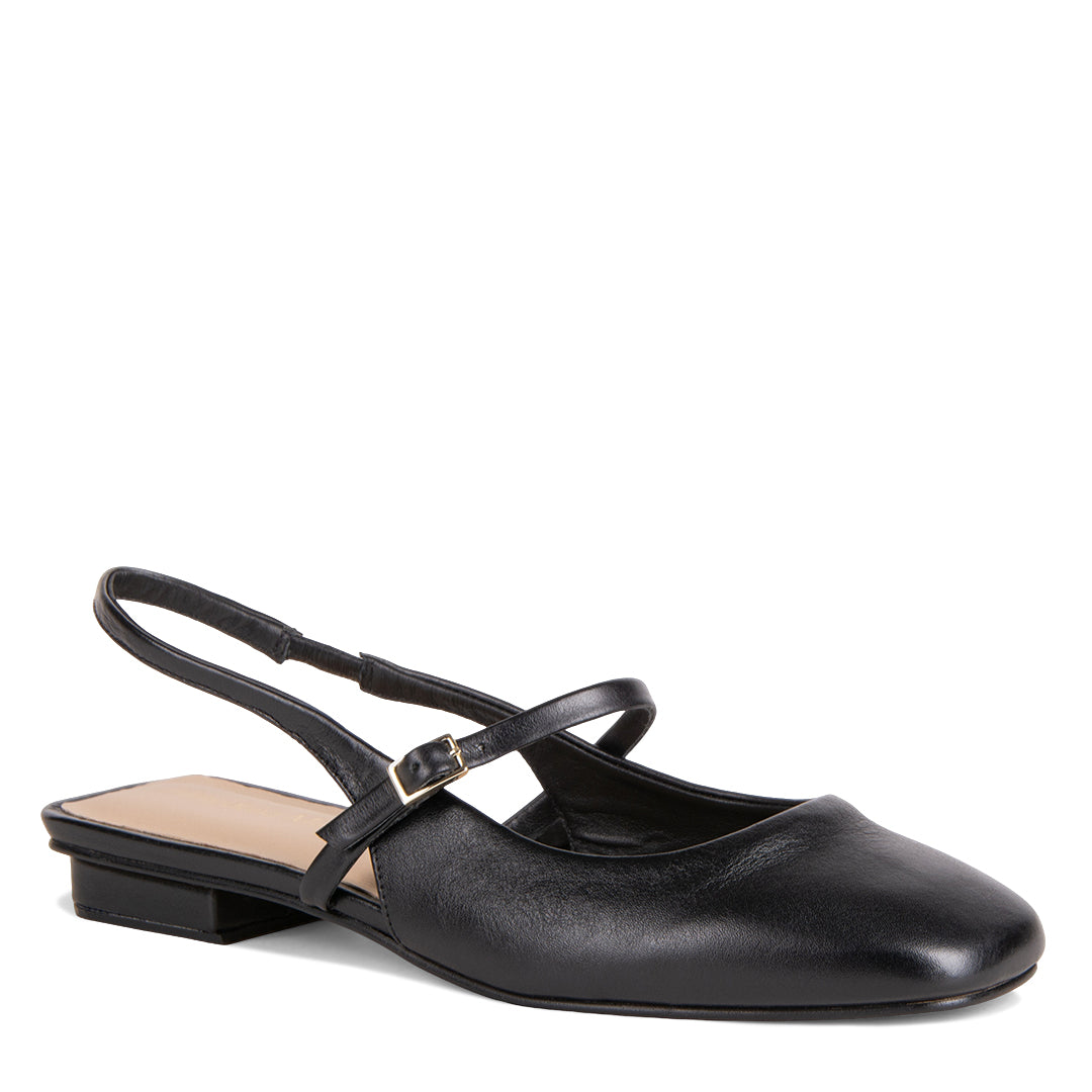 NEW! NEBRIA NEGRO