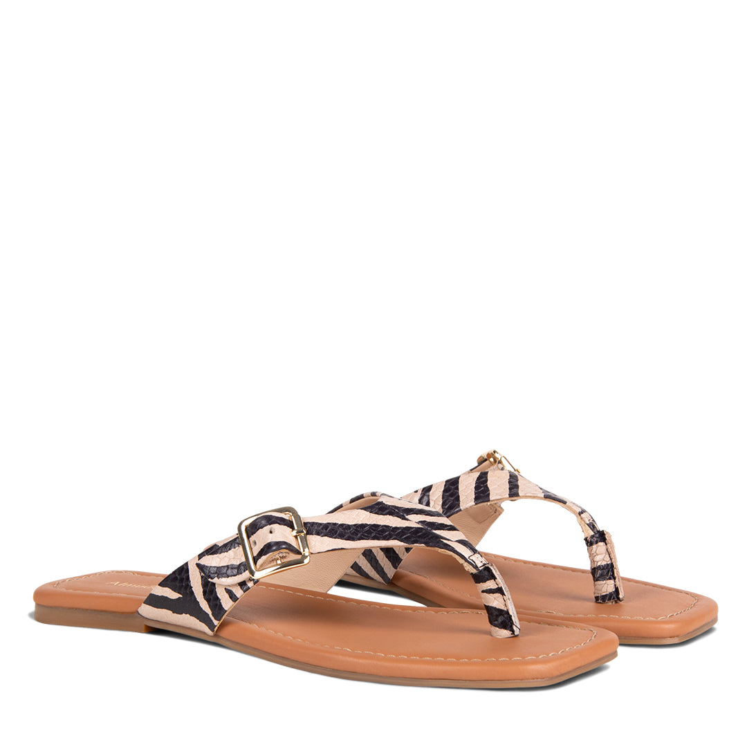 NEW! LIVORIA ZEBRA PRINT