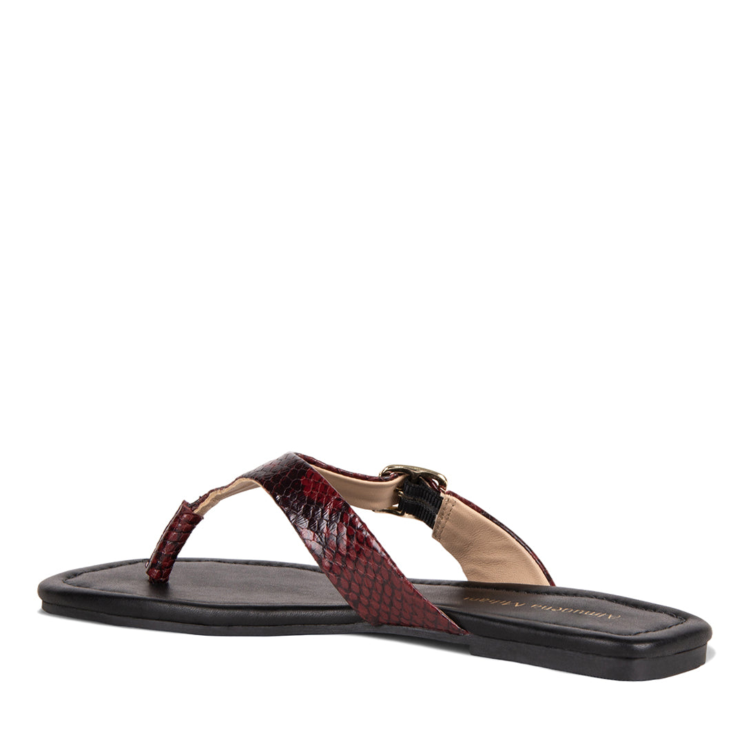 NEW! LIVORIA BURBUNDY