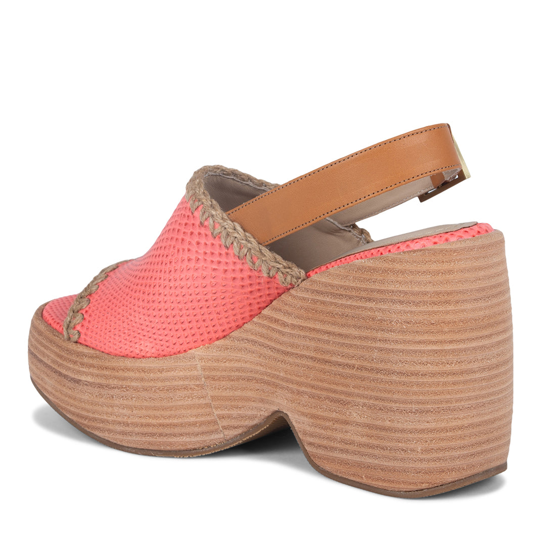 NEW! KAY CORAL