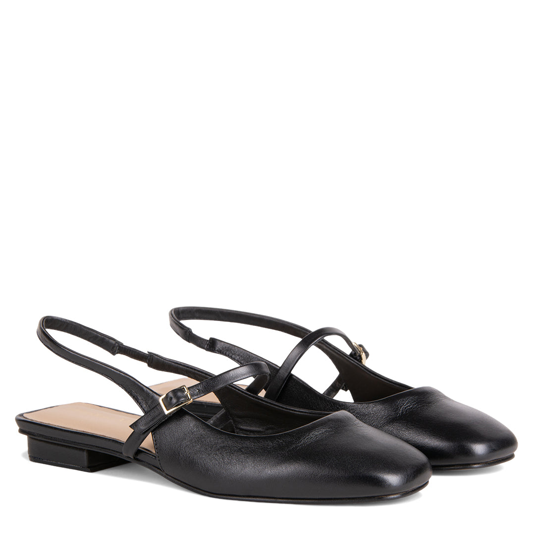 NEW! NEBRIA NEGRO