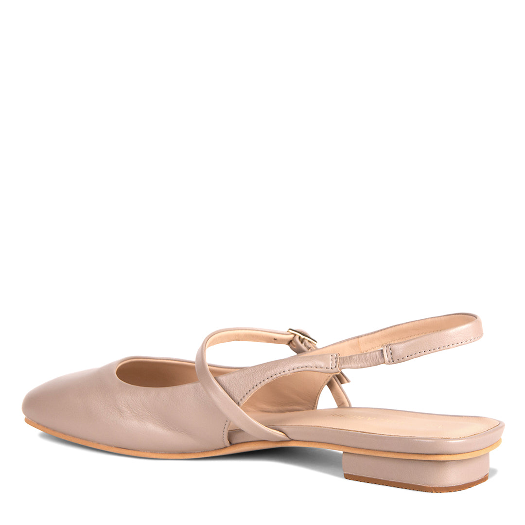NEW! NEBRIA ARENA