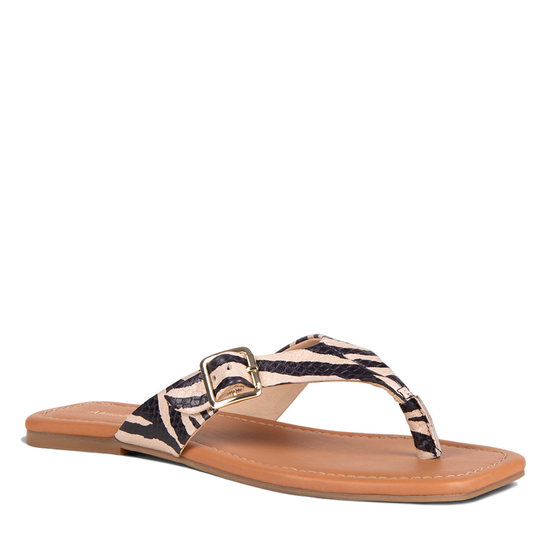 NEW!  LIVORIA ZEBRA PRINT