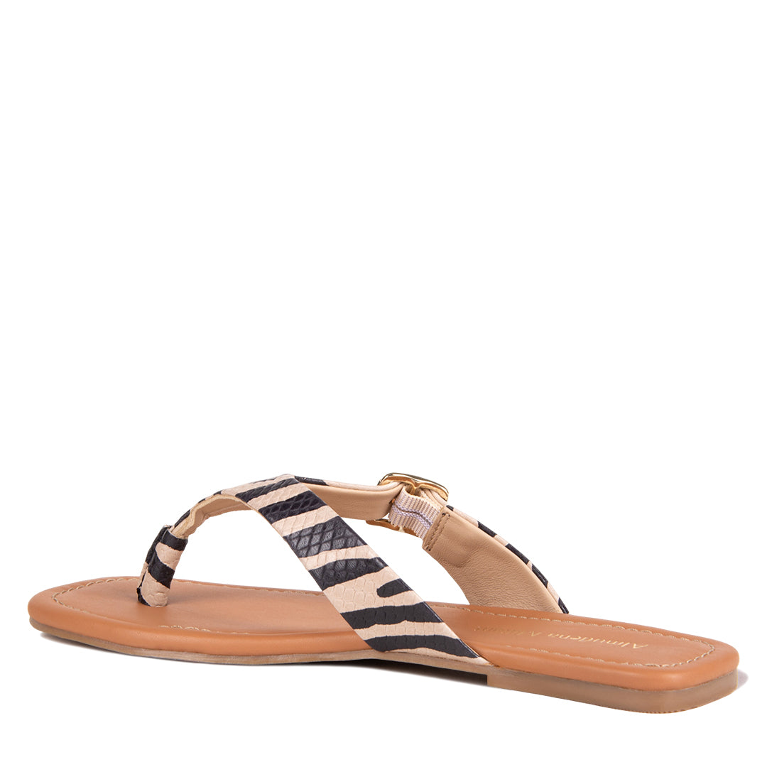 NEW!  LIVORIA ZEBRA PRINT