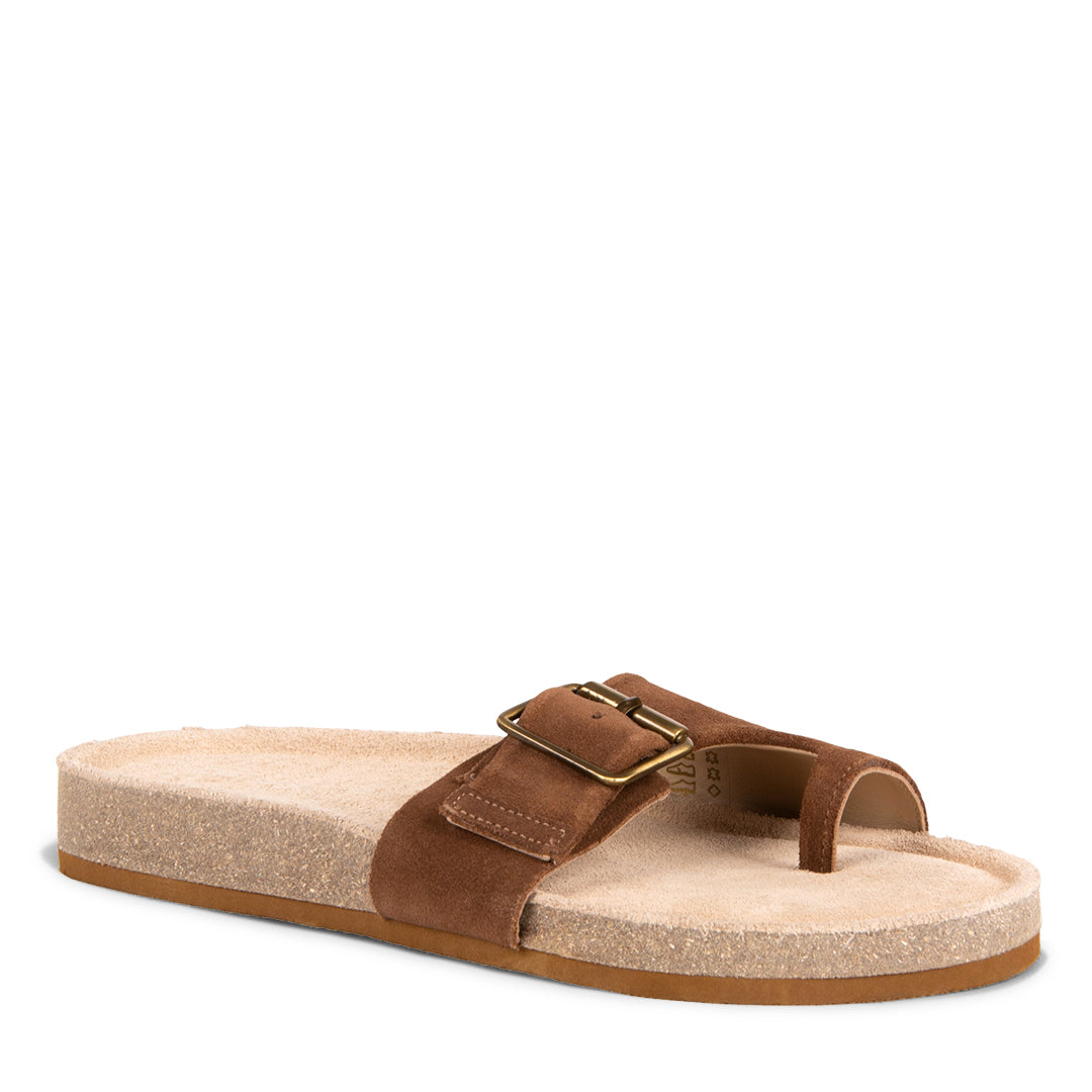 NEW! CORALIE CHOCOLATE