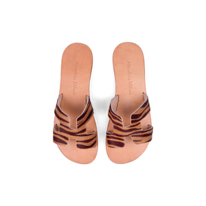 SULAY TIGRE